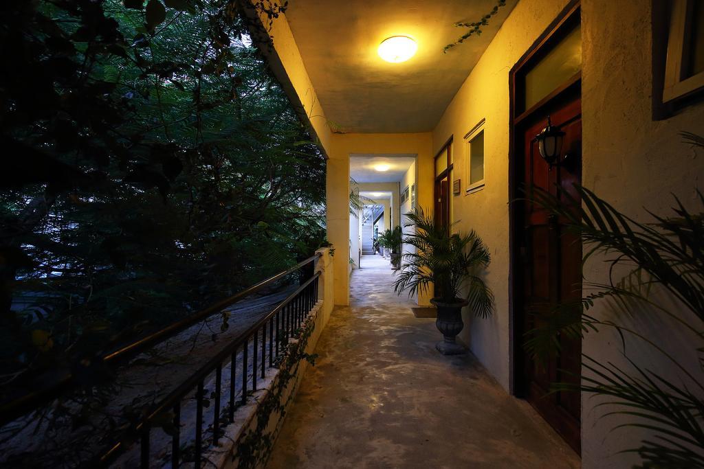 Chamonix Home Stay Hualien Exterior foto